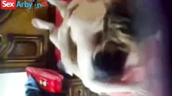فيلم سكس مدرب الكاراتيه عنتيل المحله مسرب جديد